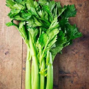 Celery