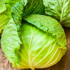 Green Cabbage $2.50 each