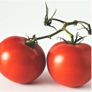 Organic Tomatoes