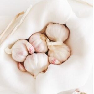 Raw Garlic, Freshly Cropped