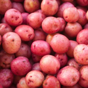 Red Potatoe $1.19/ lbs