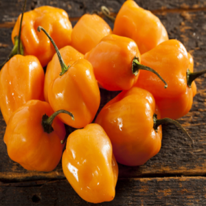 Chile Habanero