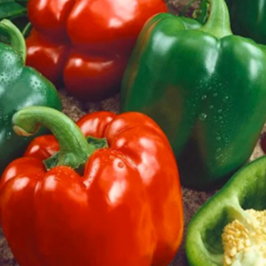 Green/Red Bell Pepper